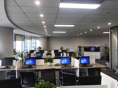 深耕區(qū)域，洞察市場(chǎng) 浙江杭鑫經(jīng)濟(jì)信息咨詢(xún)的市場(chǎng)調(diào)查實(shí)踐與價(jià)值